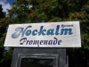 &nbsp;
