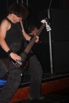 &nbsp;