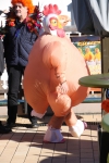 &nbsp;